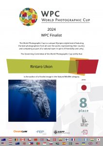 certificate_finalist_8th-wpc-2024-naturewildlife-419-wpc-2024-fin-464-53a577bb3bc587b0c28ab808390f1c9b-2