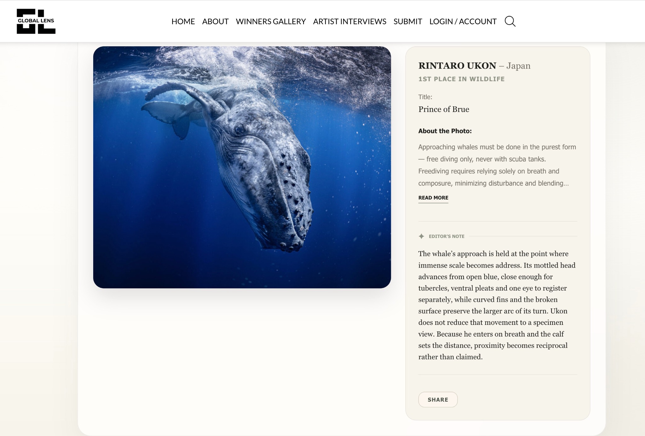Global Lens Photography Awards 2025掲載ページ|Prince of Blue・RINTARO UKON