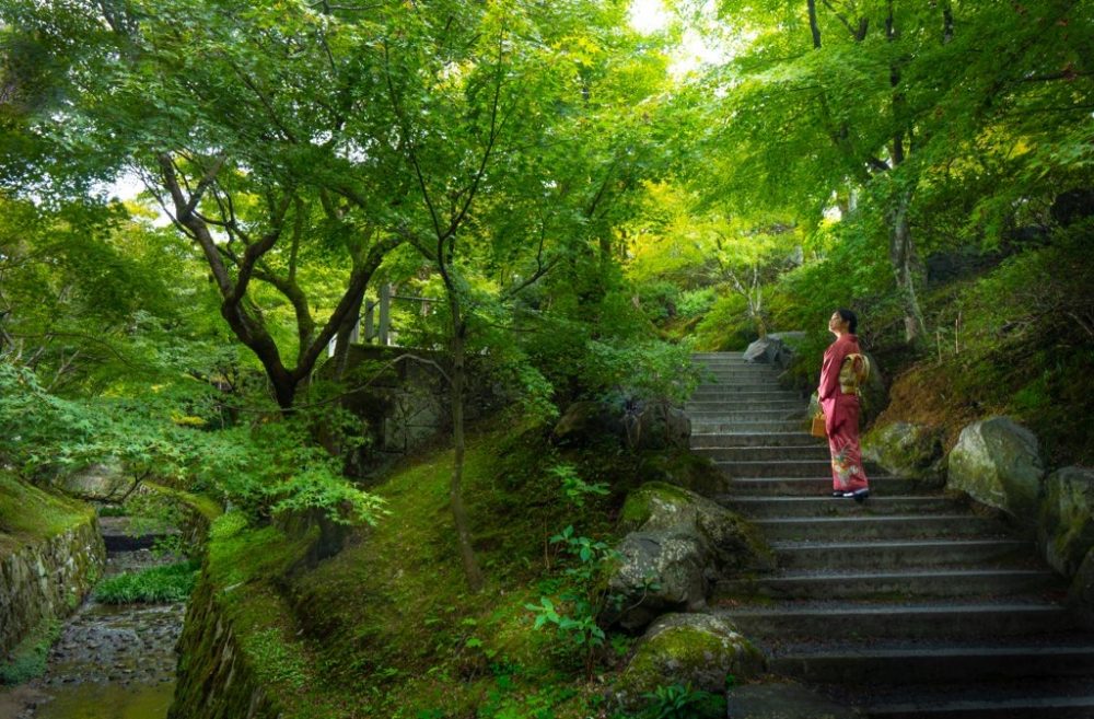 着物の京都撮影_写真家右近倫太郎